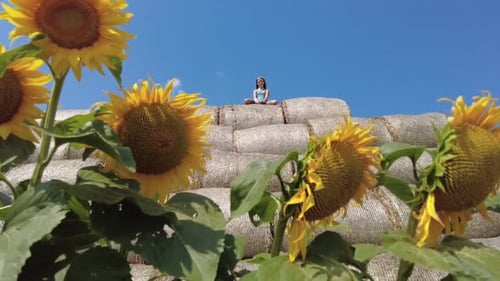 Young Girl Sitting on Top of the Round Hay Bale in the Sunflowers Field in Summer in Belarus