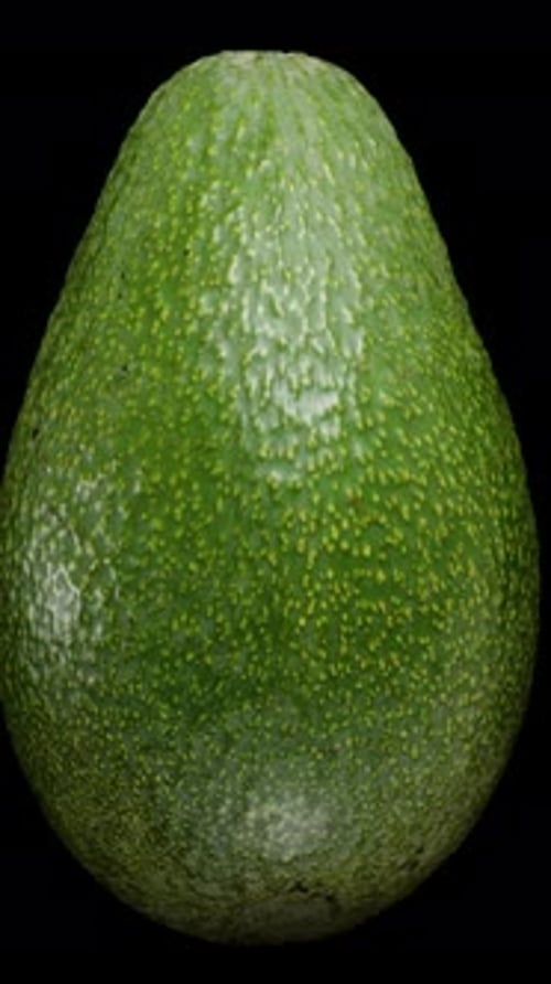 Vertical video. Ripe Avocado Fruit Spins in a Loop on a Black Background in Close-up.