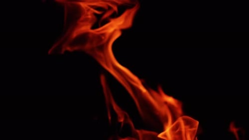 Flame of bonfire moving to the sides in the wind. Beautiful orange fire at black backdrop. Close up.