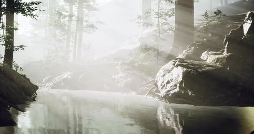 Morning Light Filters Through Mist in an Enchanting Forest Landscape