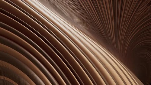 Une animation 3D de lignes bicolores formant un ornement qui remplit l'écran.