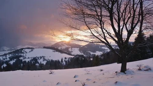 Winter Sunrise