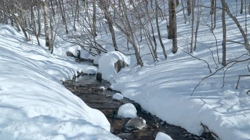 Mountain Brook Streaming Though Snow Covered Forest in Winter