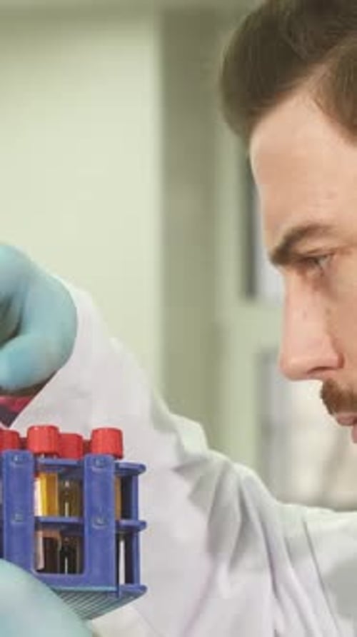 Young Adult Man Working With Test Tubes In Lab