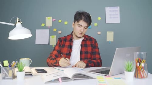 Young Adult Video Conferencing and Studying at Desk