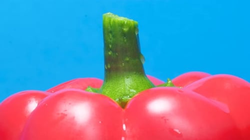 Fresh Red Pepper on Blue Background, Macro Shot