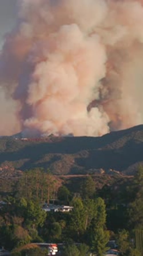 The Recent Los Angeles Wildfire That Occurred in the Scenic Palisades Region of California
