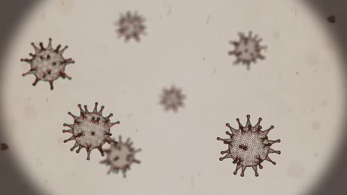 Microscopic View to the Virus Cells in the Viability Liquid Environment