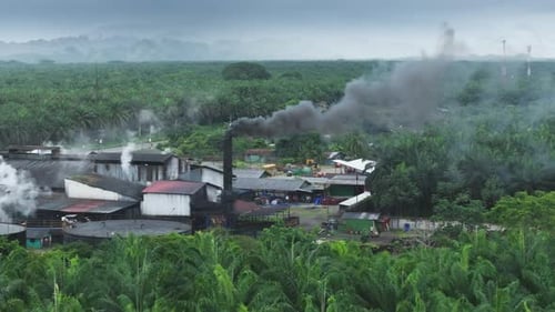 Aerial View of Factory Emitting Smoke Amidst Palm Plantations