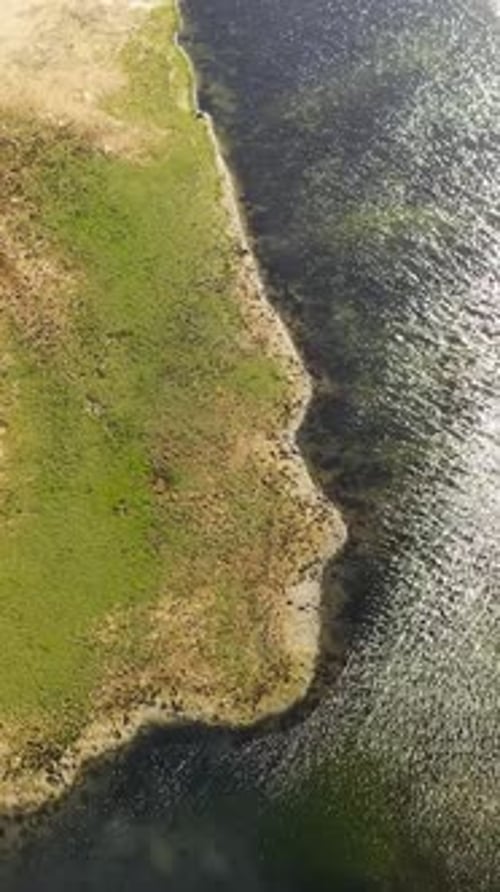 Tropical Landscape with a Lake Sri Lanka