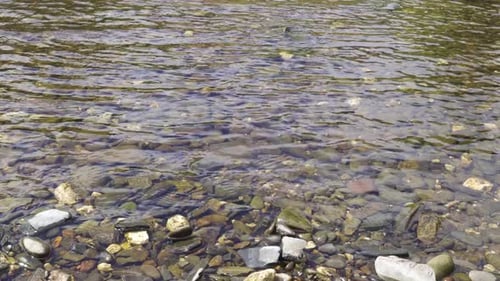 Cristal clear water flowing downstream over the river pebbles. Wave motion on the top of water while
