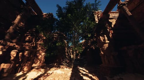 Un arbre pousse sur les ruines d'un bâtiment
