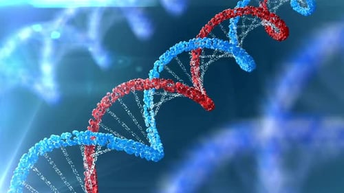 Rotating DNA Double Helix Structure with Particle Effect