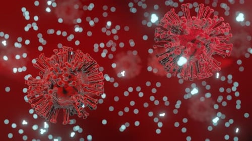 Coronavirus cells video.