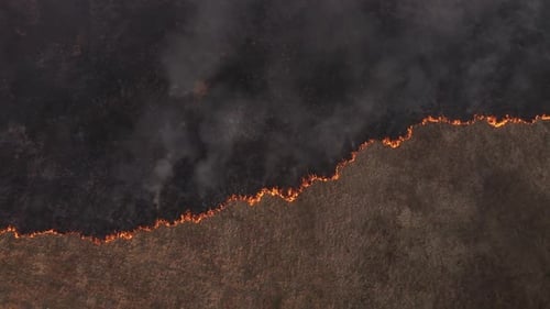 Slow motion aerial view spring dry grass burning field. Fire, smoke in meadow, pollution