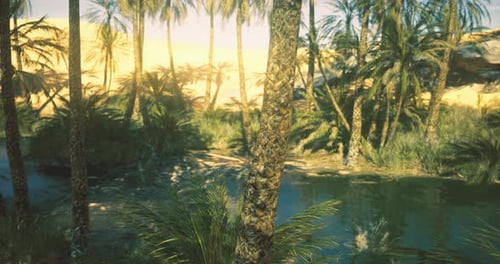 Lush Oasis Surrounded By Palm Trees and Sandy Desert at Sunset