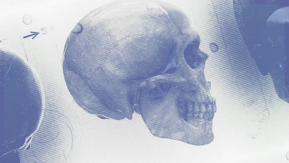 Animated Skull Rotation with Grunge and Glitch Digital Effects ...
