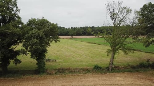 Green field moving drone footage through trees 4K drone
