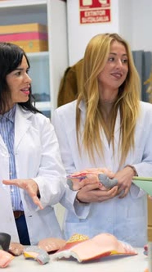 Medical Students Studying Anatomy with Anatomical Models