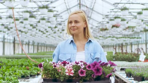 Woman carries flowers in a greenhouse during daytime