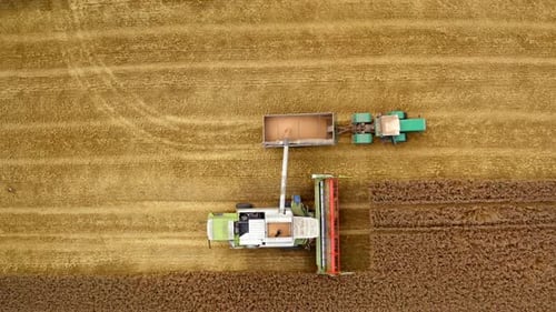 Aerial View of Combine Harvester Collecting Golden Crop