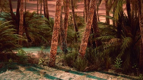 Palm Trees and the Sand Dunes in Oasis