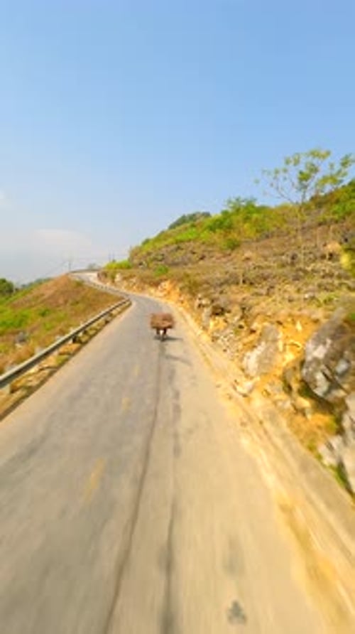 FPV d'un fermier conduisant une moto et transportant du bois sur la boucle de Ha Giang