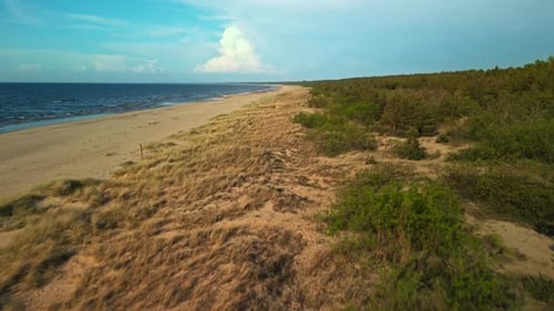 Enjoy Breathtaking Aerial View of an Untouched Coastal Beach with Beautiful Vegetation and Serene