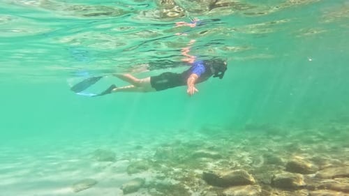Man Swims in Wetsuit and Fins Underwater