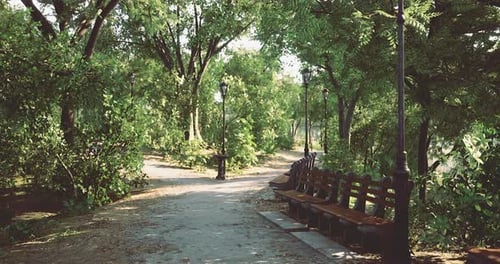 Peaceful Park Pathway Surrounded By Lush Greenery and Benches for Relaxation
