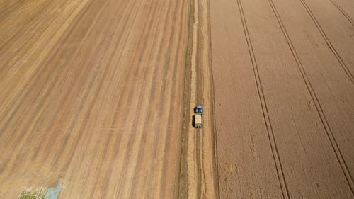 Aerial top down shot of tractor transporting fresh cutted wheat grain on field during sunny day