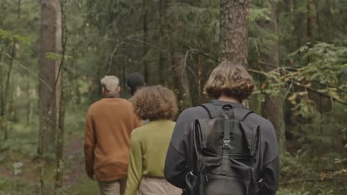 Company of Friends with Backpack Hiking in Forest