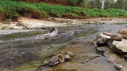 Klares Wasser fließt in eine wunderschöne