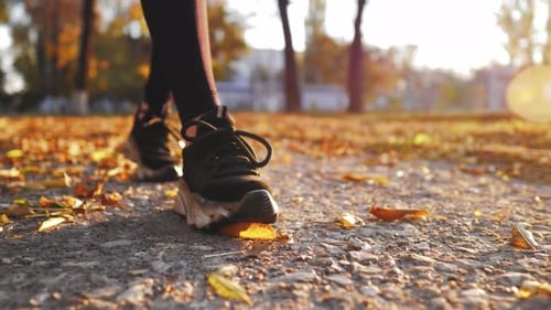 Walking through Autumn Leaves at Golden Hour