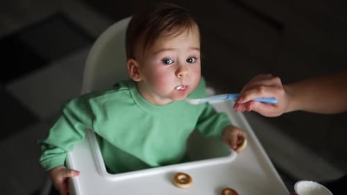 Infant Being Fed Yogurt in a High Chair