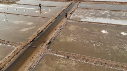 Aerial footage above workers in a salt fields in Kampot province, Cambodia. Drone stays static few m