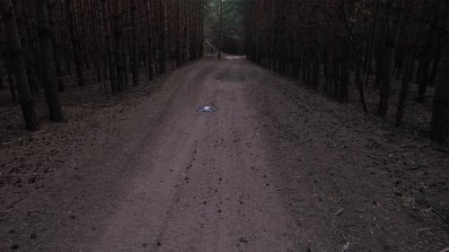 Small Gray Drone Flies In The Forest