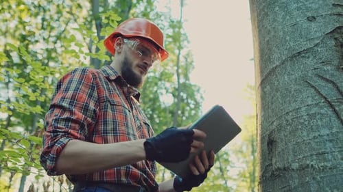 Logger mit Hut schaut auf Tablet