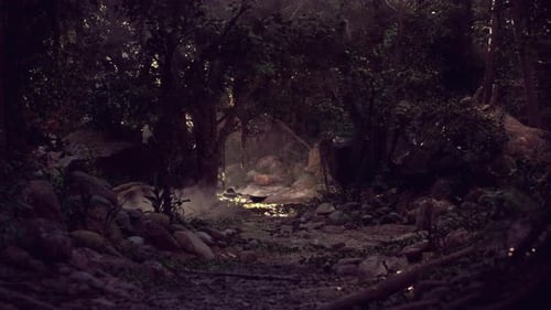 Lush Forest With Trees and Rocks Dark Forest