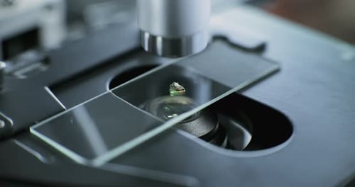 Close Up of Microbiologist Putting Fossil Sample on Glass Slide Under Microscope