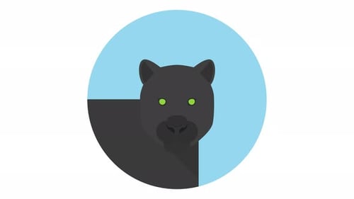 Panther