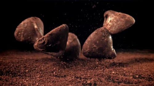 Chocolate Truffles Falling in Slow Motion on Cocoa Powder
