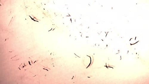 Textures de surface grunge authentiques pour les cinéastes