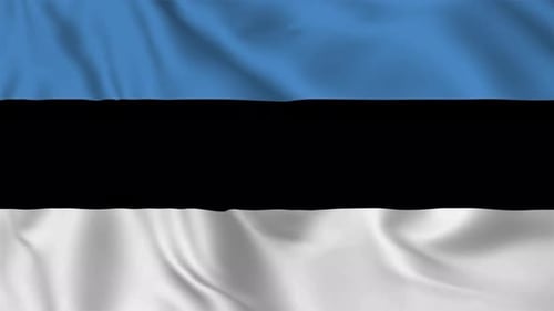 Realistic Estonian Flag Waving Animation Loop