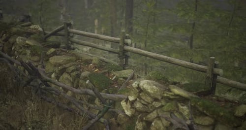 Rustic Wooden Fence Along a Moss Covered Stone Wall in a Serene Forest