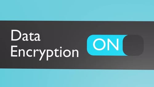 Turn on Data Encryption slider. Secure Internet connection.