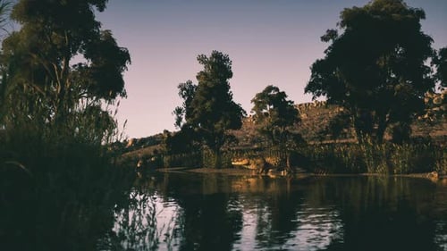 Crocodile se reposant au bord de l'eau sous les arbres au coucher du soleil dans un environnement calme