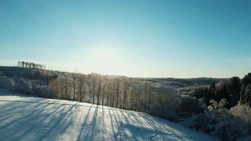 Snowy Winter Forest Aerial Drone Flight