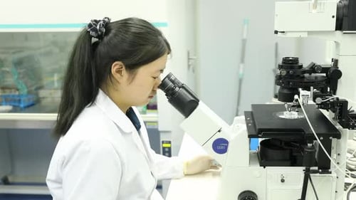 Wissenschaftlerin, Entwicklungslabor für Frauenmedizin, analysiert mit einem Mikroskop eine Petrischalenprobe. Nachlesen