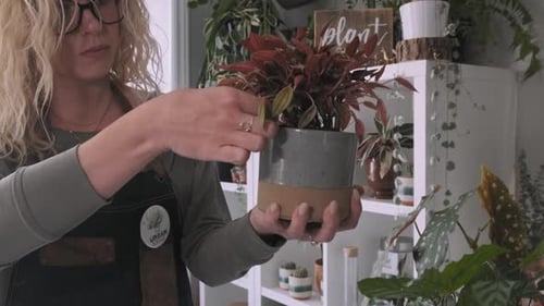 Tilting shot of a beautiful young woman admiring her newly potted plant.